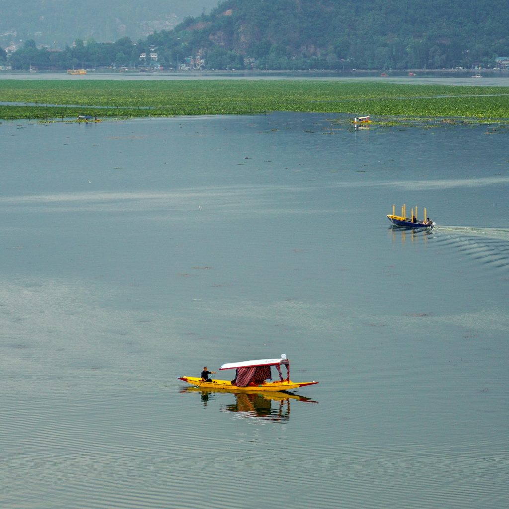 Shikara in dal lake