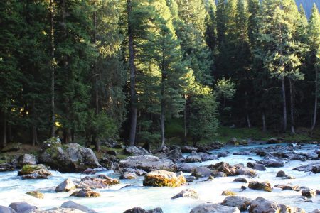 4N5D Kashmir Tour Package