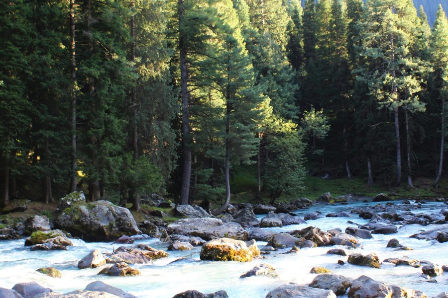 5N6D Kashmir Tour Package