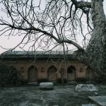 Shri Amarnath ji Yatra: A Journey of Faith, Devotion, and Himalayan Majesty.