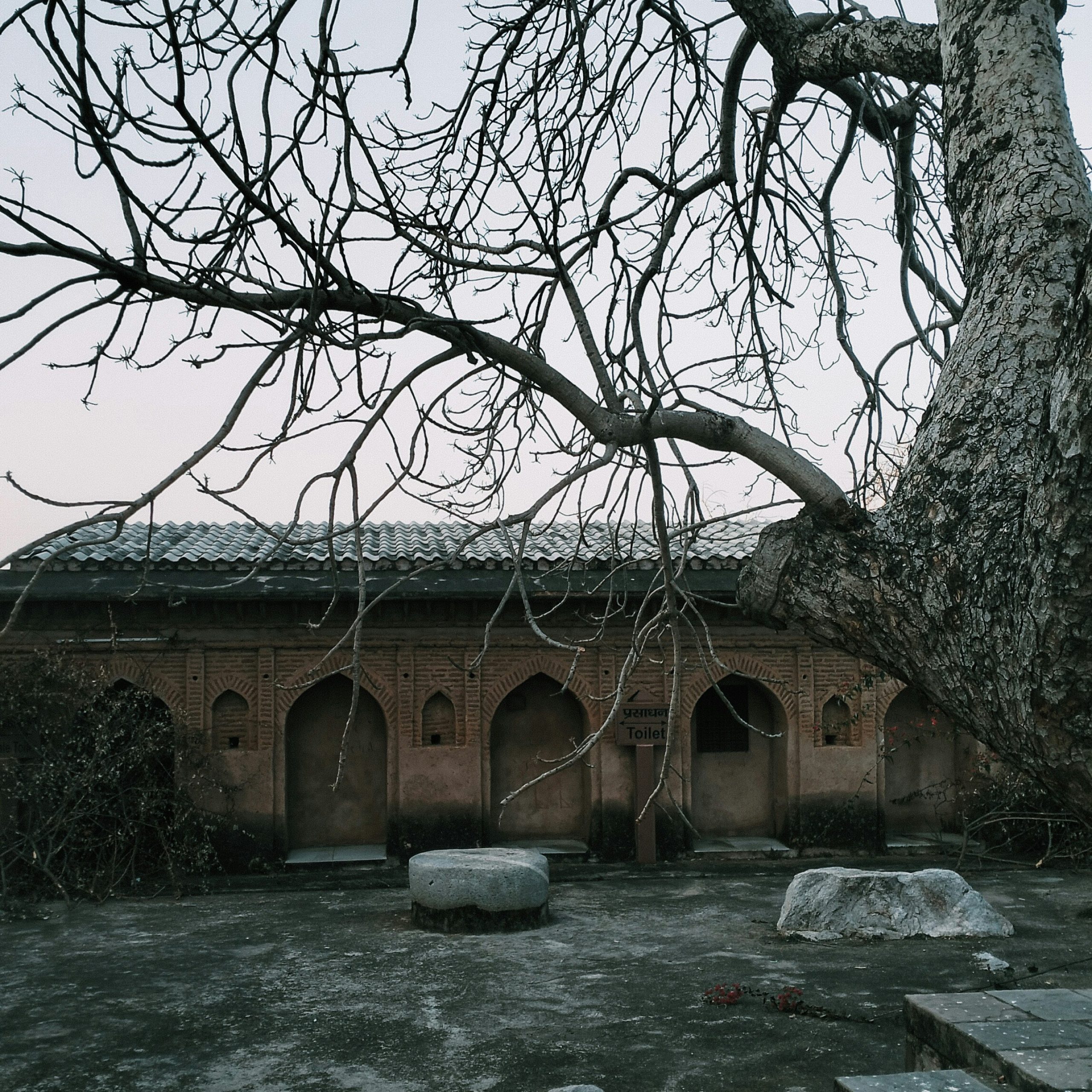 Shri Amarnath ji Yatra: A Journey of Faith, Devotion, and Himalayan Majesty.